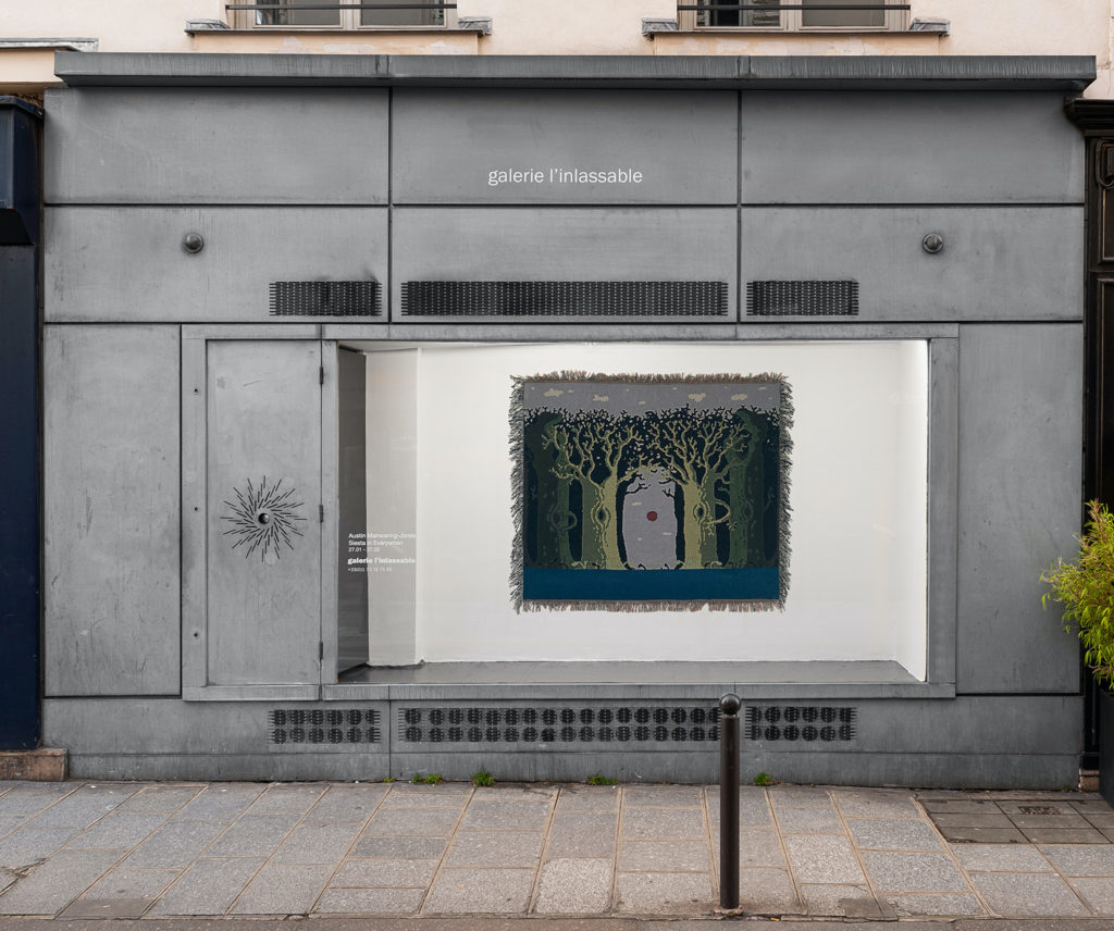 Installation window view from Austin Manwaring Jones's solo exhibition, Siesta in Everywhen, at Galerie l'inlassable. Work entitled "Siesta in Everywhen VII."